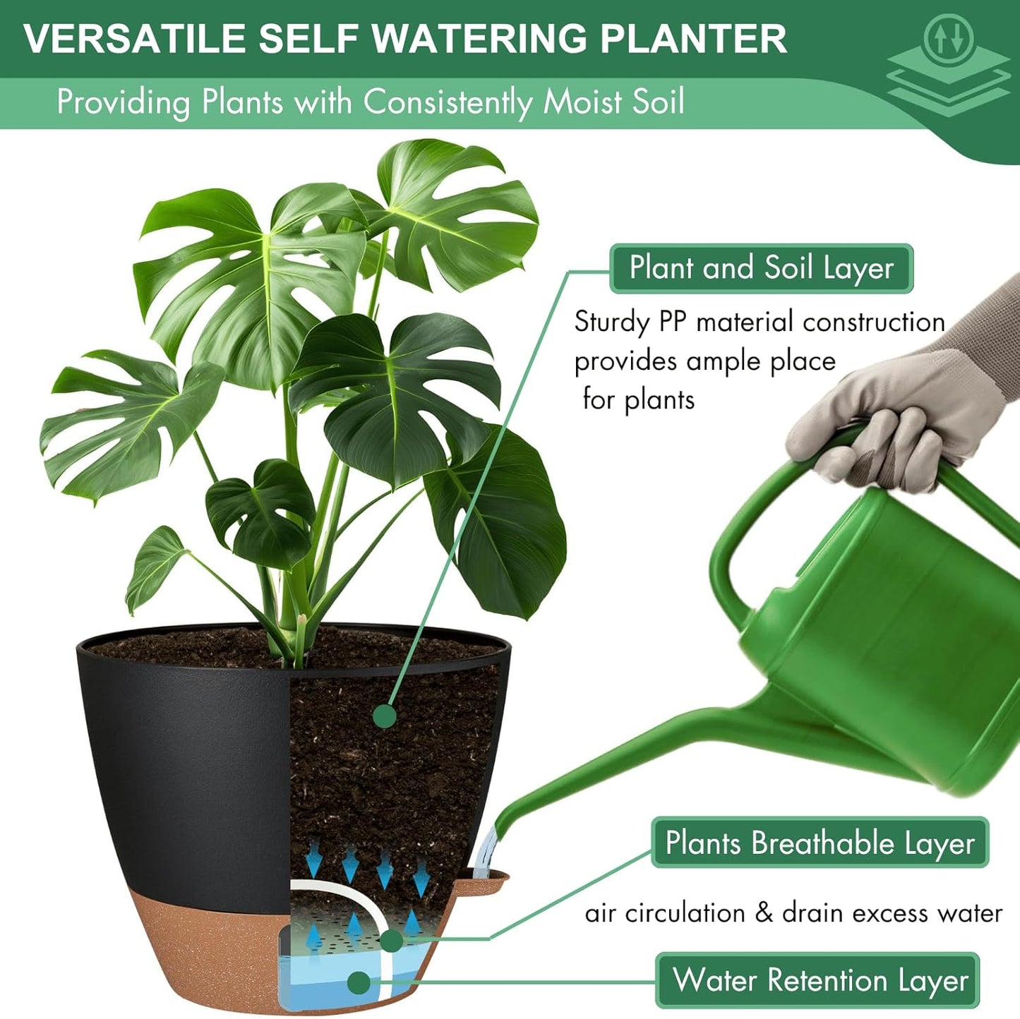 2 Pack 10 inch Plant Pots, PP Plastic Self Watering Plant Pot with Drainage and Tray for Indoor Outdoor Plants , Water Level Window & Reservoir Flower Pots Decorative Planter (Black, 10 Inch)