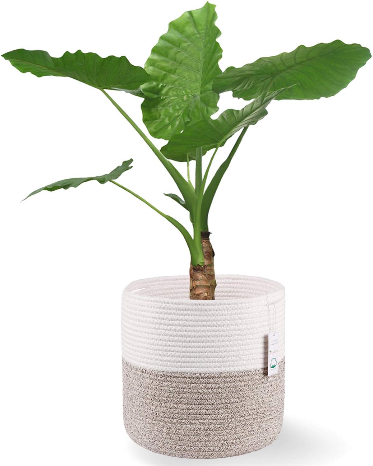 Woven Cotton Rope Plant Basket for 11 inch Flower Pot Floor Indoor Planters,Decorative Small Basket for Plants Storage Organizer Modern Home Decor (12" x 12", Khaki)